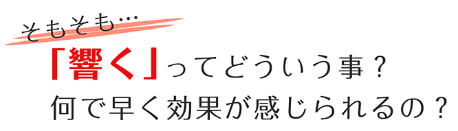 txt_midashi_sekicyukan